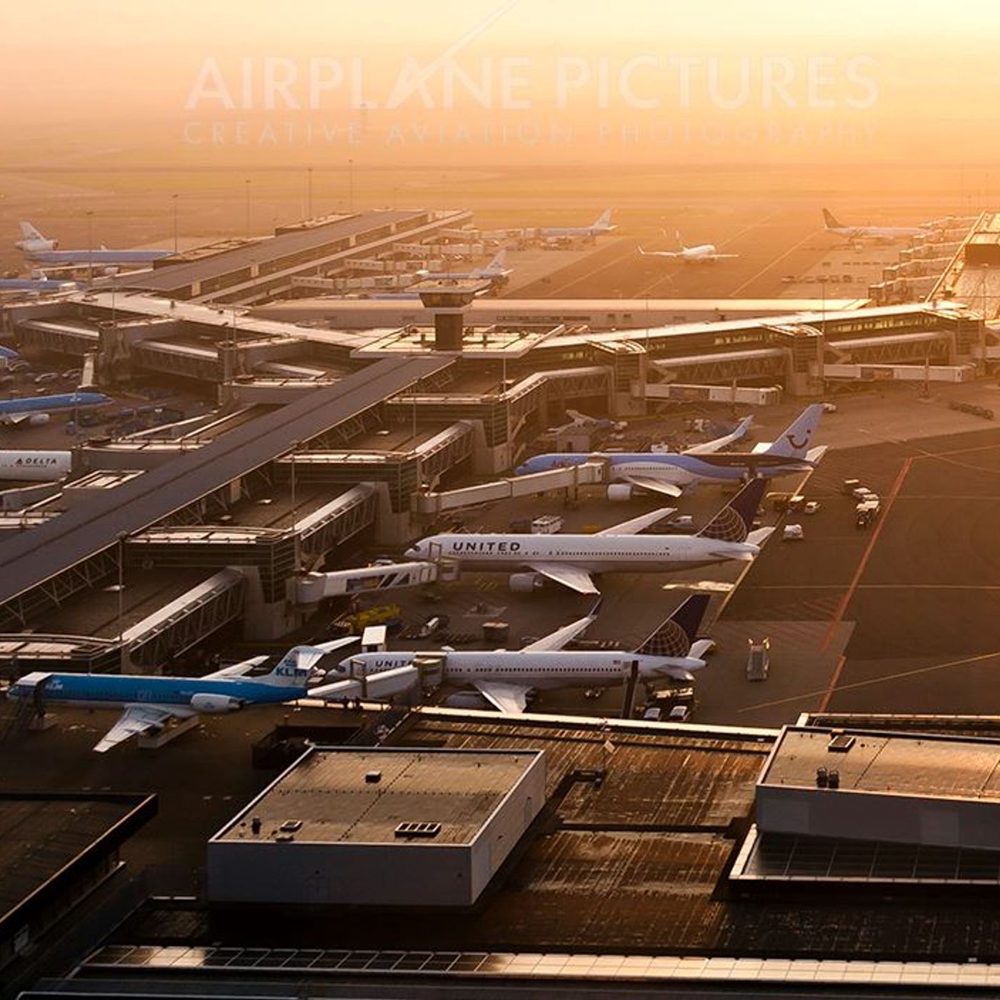 Ezer Aviation Edu