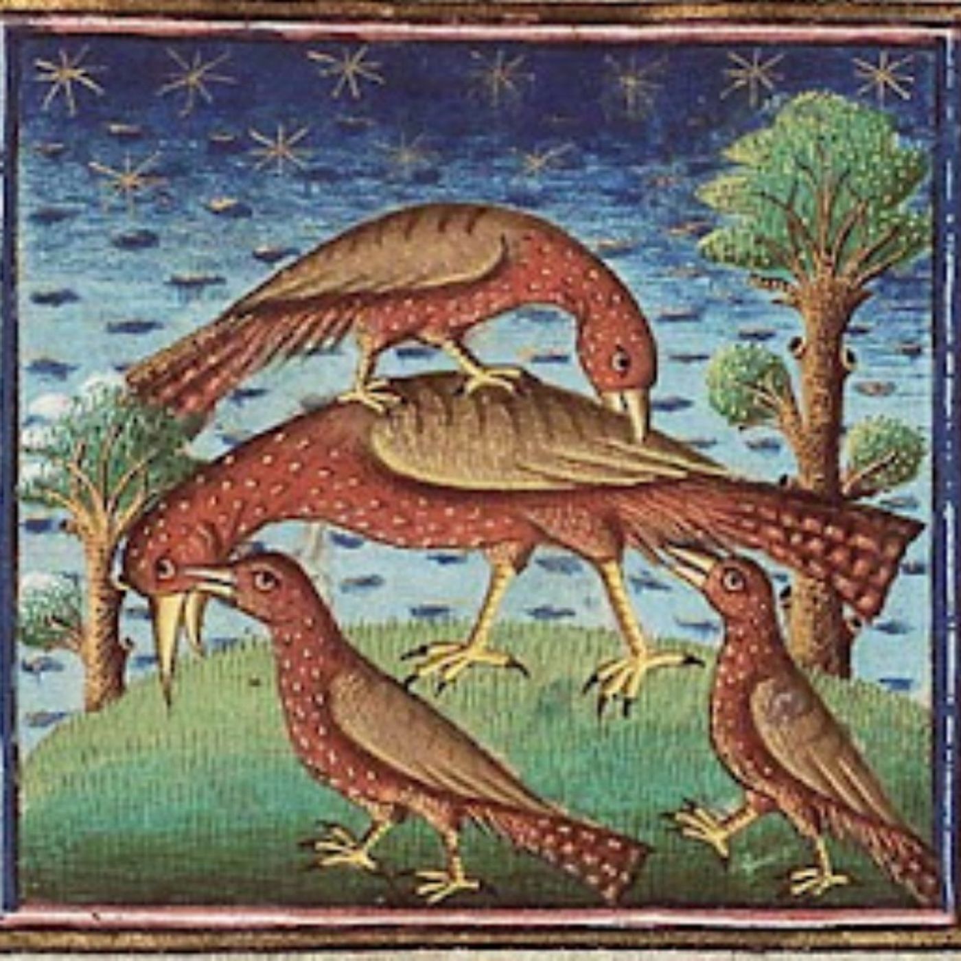 Podcast bilingüismo: Medieval Bestiaries episode artwork