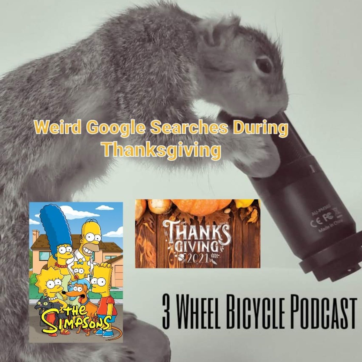 3 Wheel Bicycle Podcast