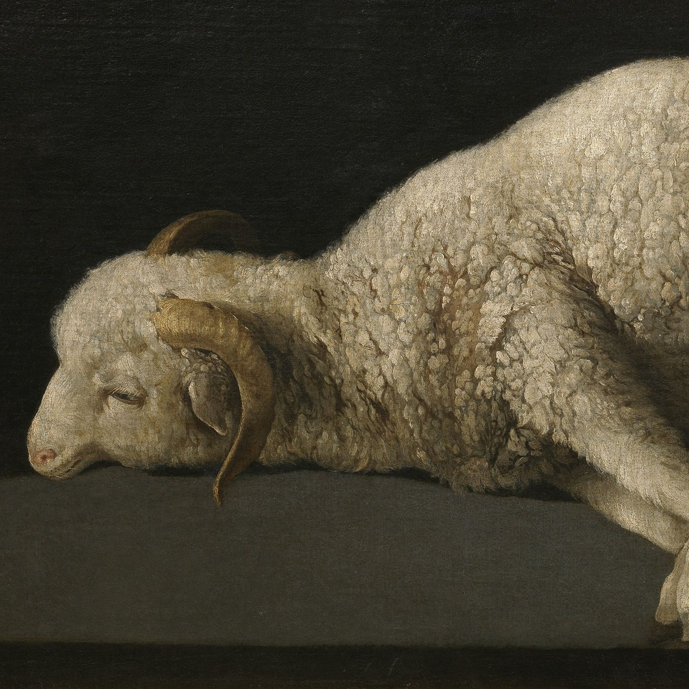Perche sacrificare gli animali episode artwork