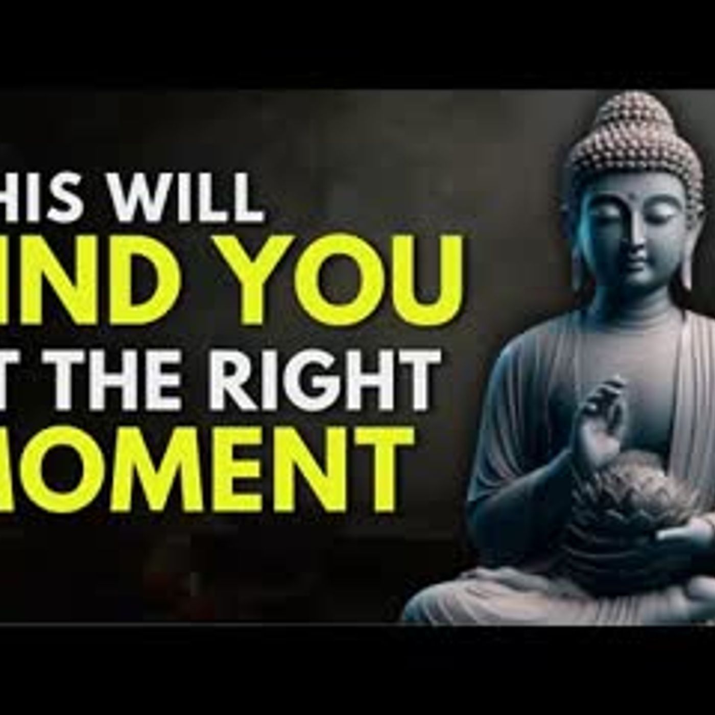 Nothing Is Coincidence The Universe Is Sending You a Message   Buddhist Teaching