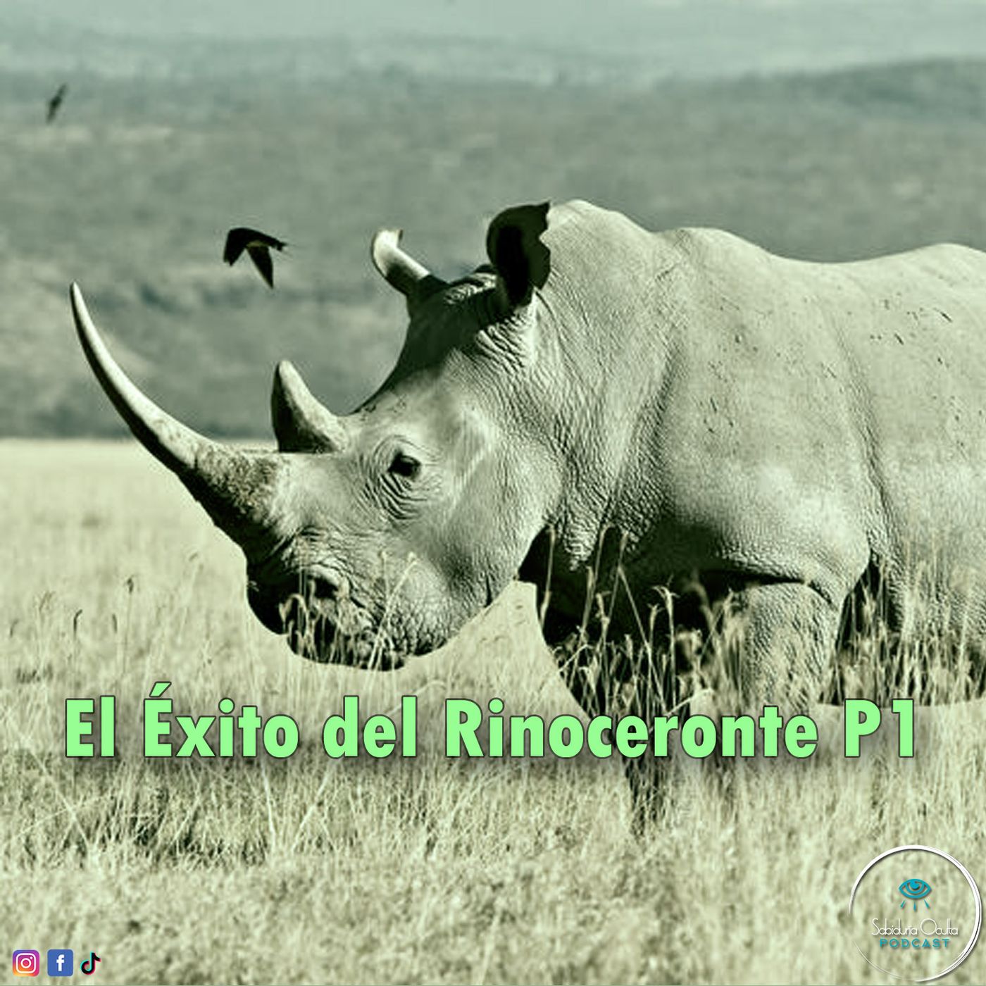 Sabiduría Oculta Podcast