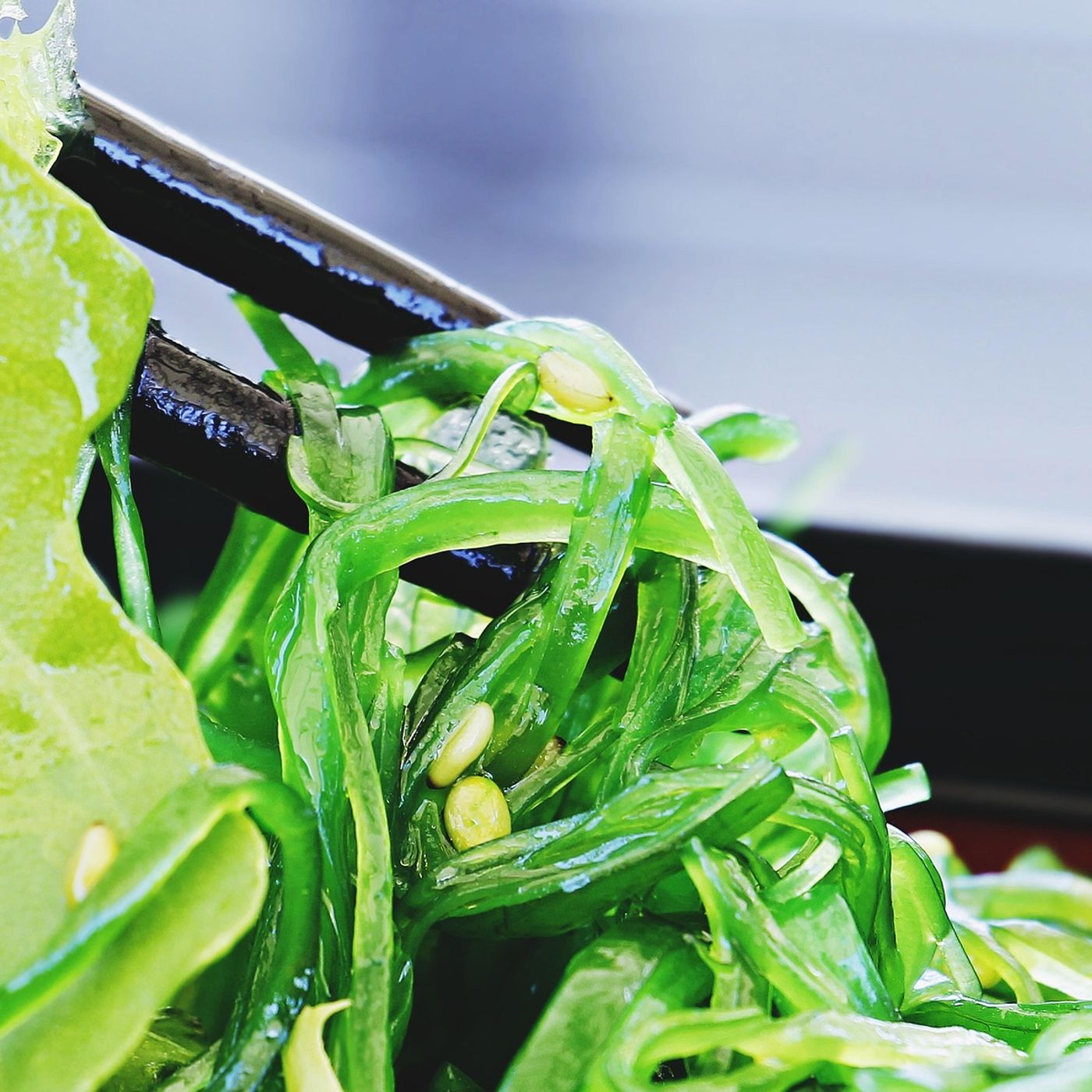 L\'alimentazione by Elisabetta