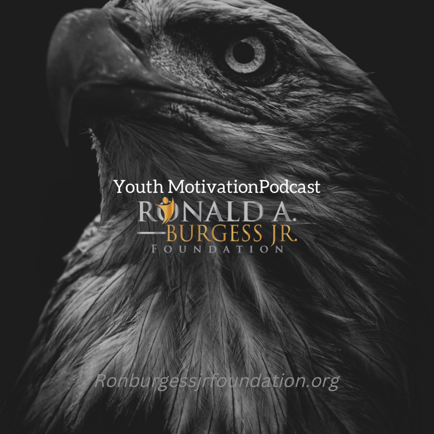 #17- A Surprising Speech To Help STUDENTS GET BACK UP | Youth Motivation Podcast episode artwork