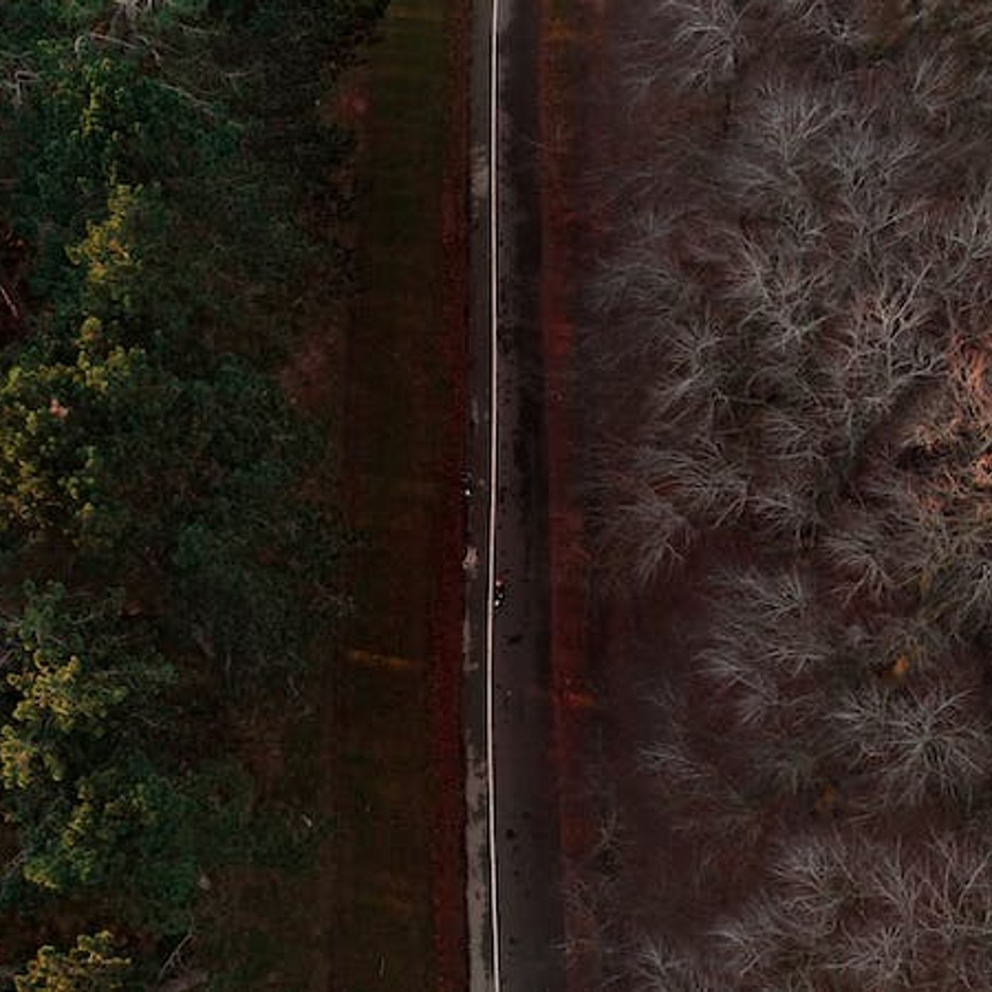 Controversy Is Essential — and Deadly