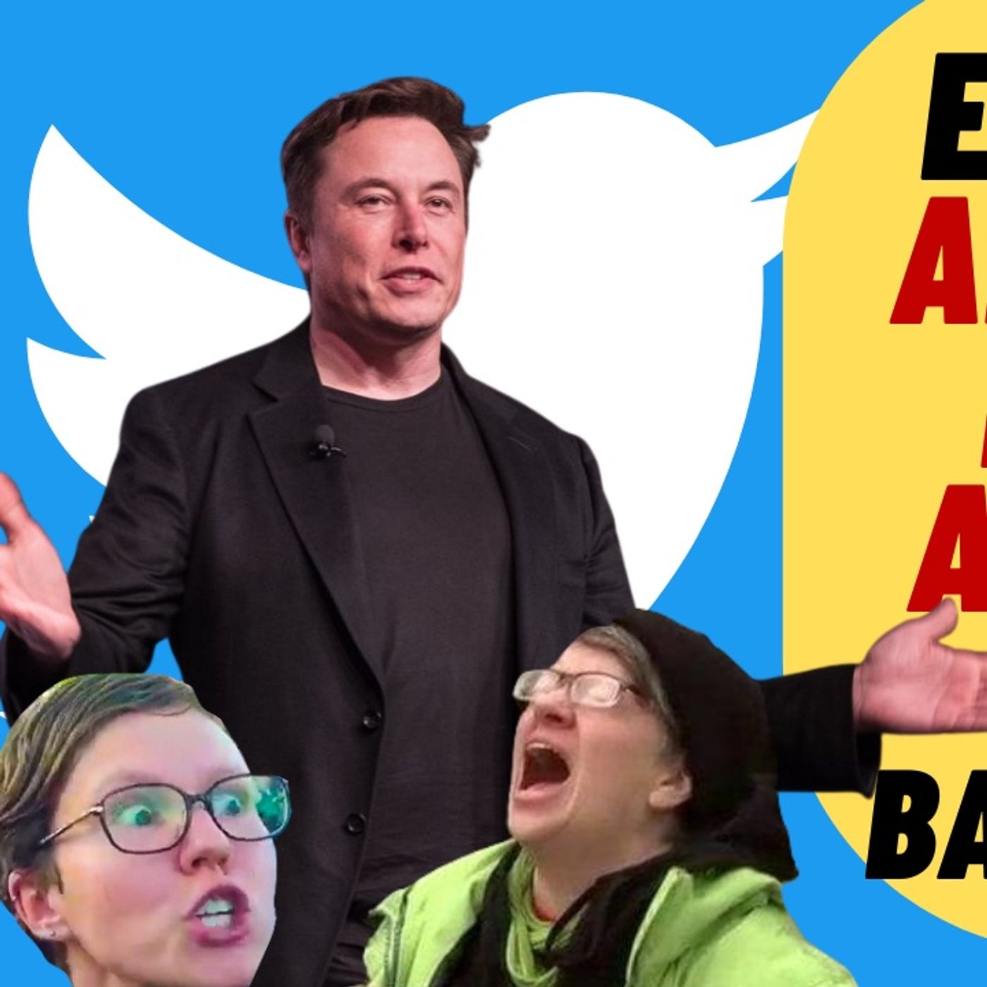 ELON MUSK Announces Blanket Amnesty On Twitter