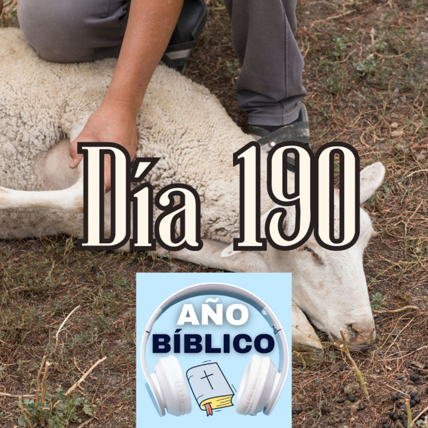 Día 190 - Salmos 79:1-4, 2 Crónicas 7-8 y Romanos 8:18-39 episode artwork