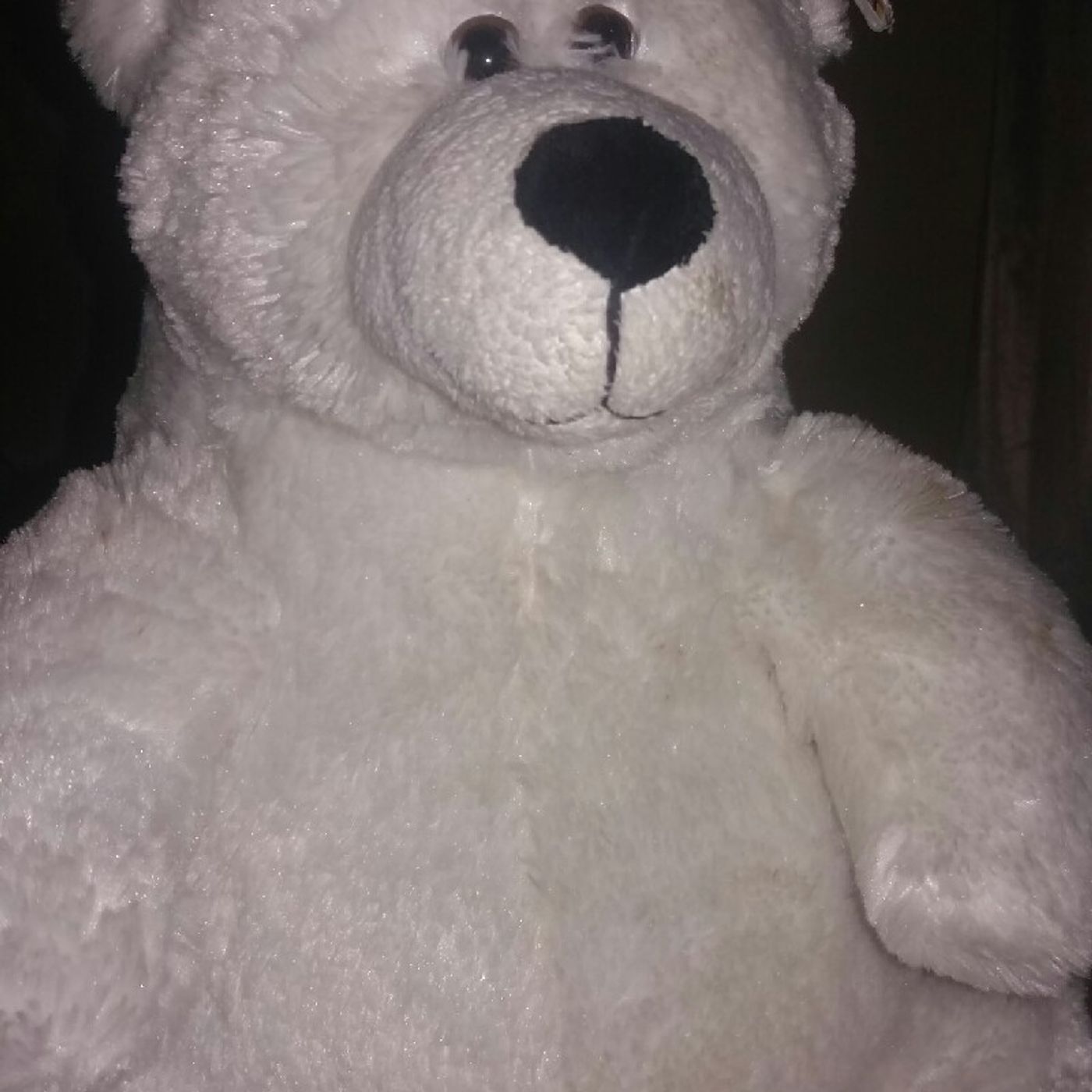 Brunno Daniel Fernandes\'s show