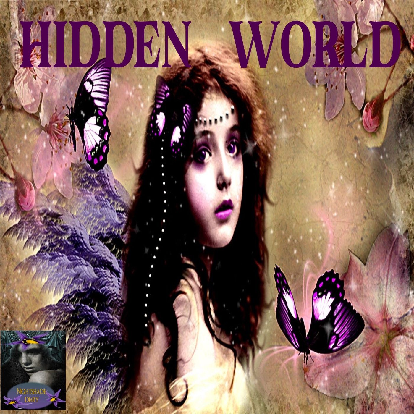 Hidden World | Interview with Colleen Coffman | Podcast