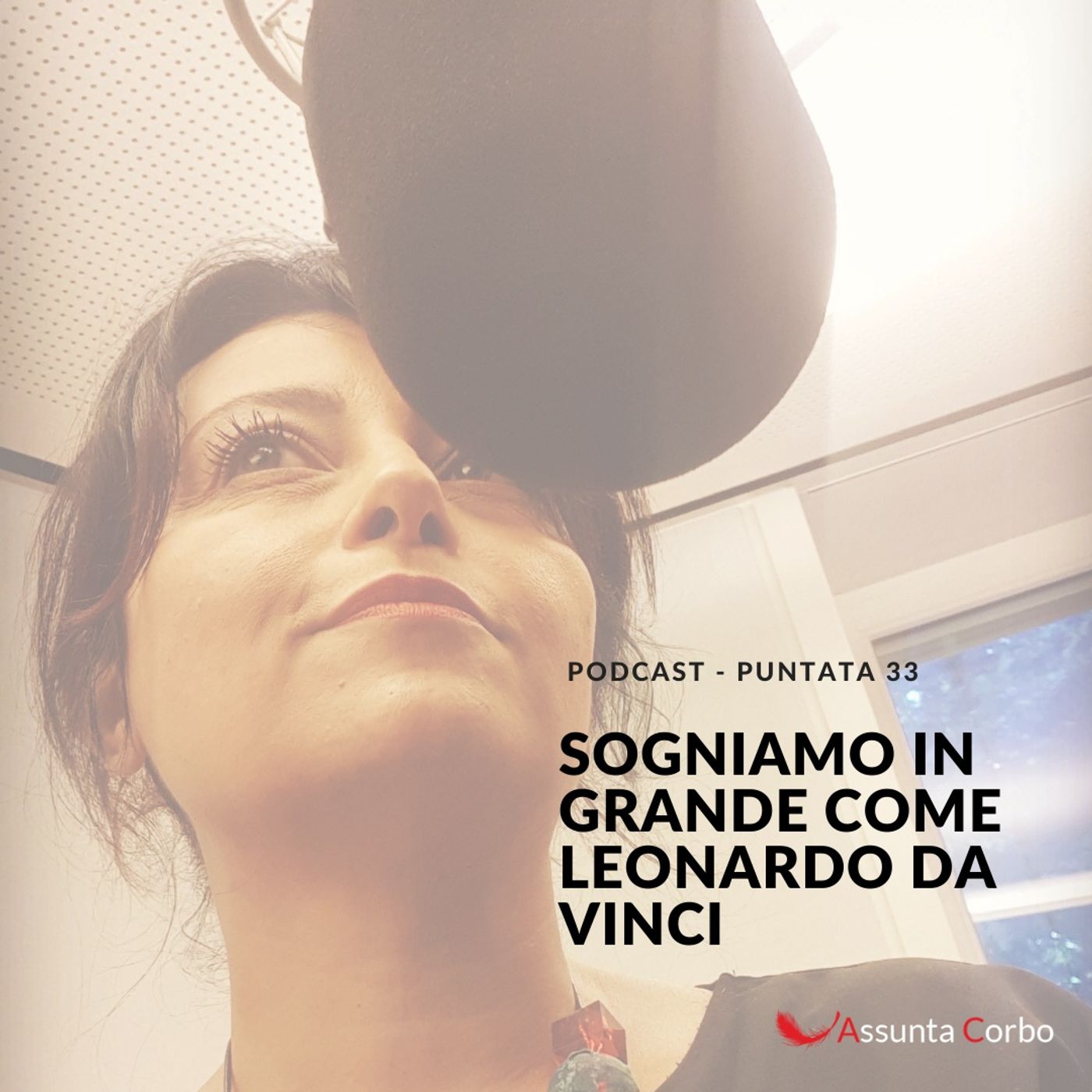 33 Sogniamo In Grande Come Leonardo Da Vinci episode artwork