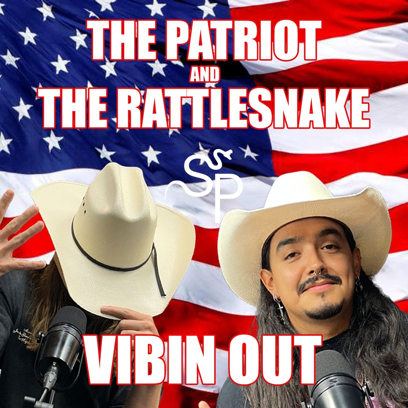 Vibin Out | The Patriot and The Rattlesnake | Episode 2 episode artwork