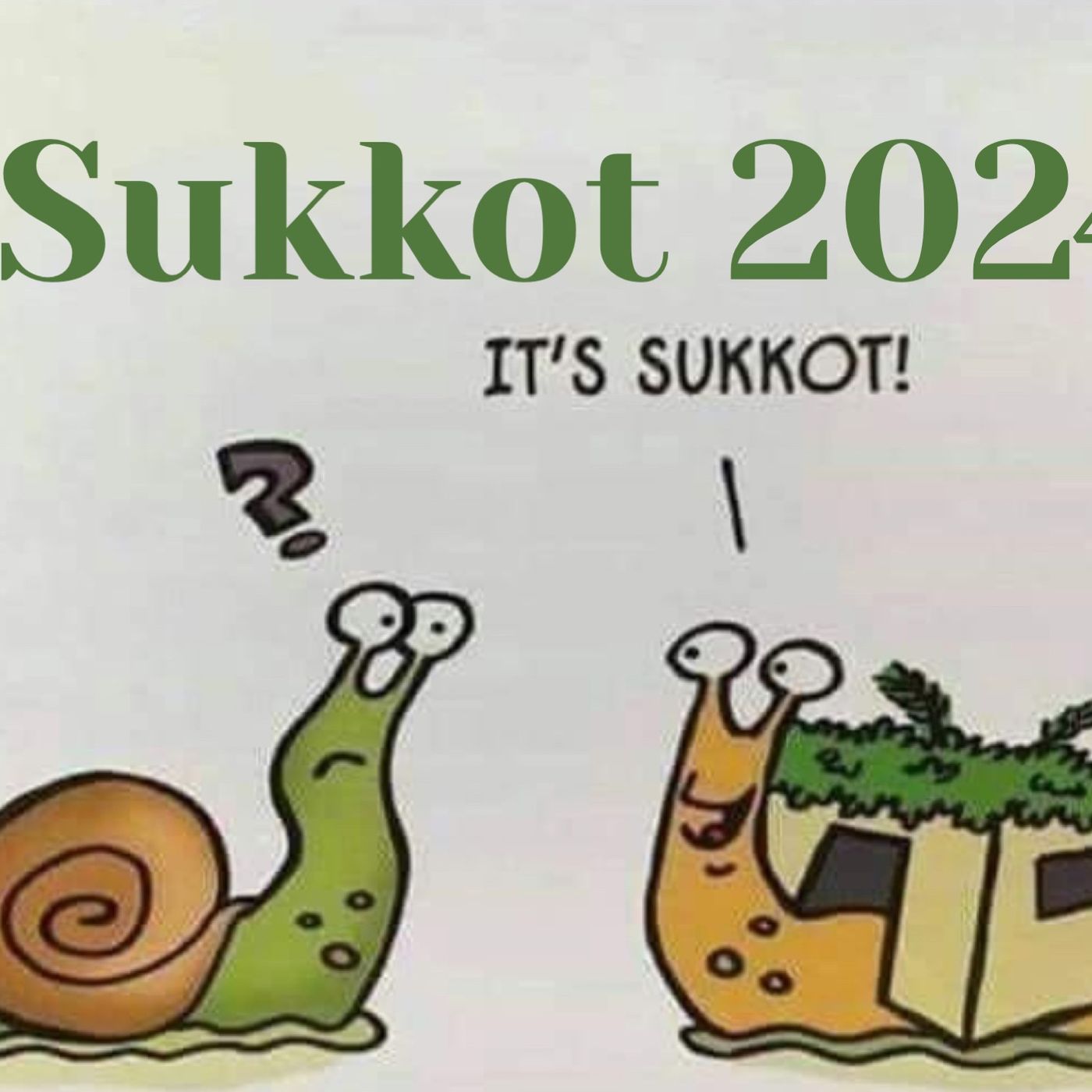 Juan 7. Fuente de agua viva (Sukkot 2024)