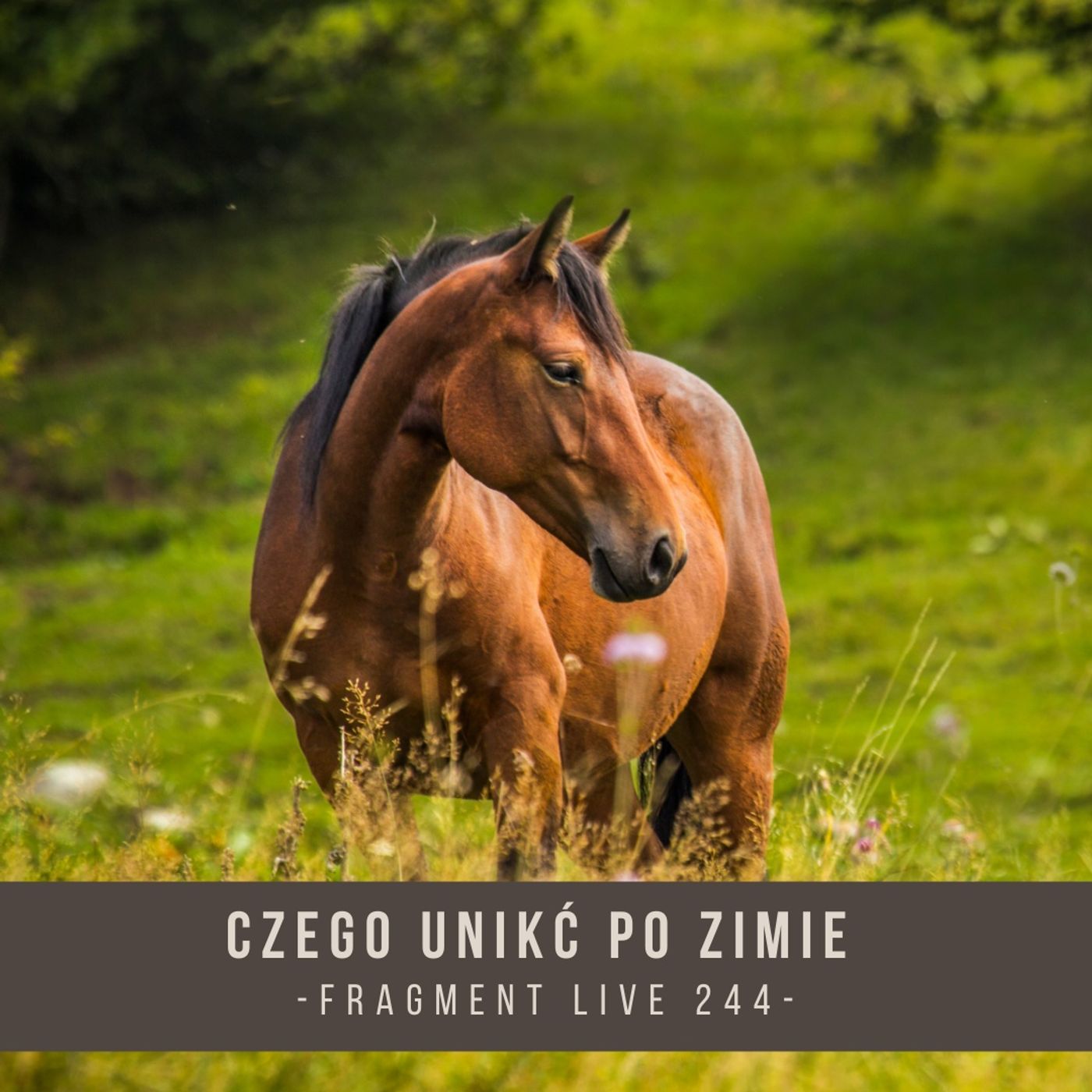 Czego unikać po zimie - fragment live 244