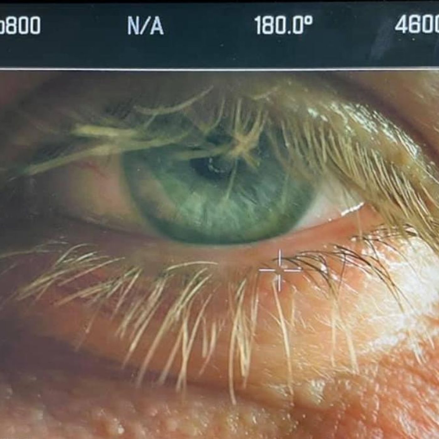 Il coraggio di tornare