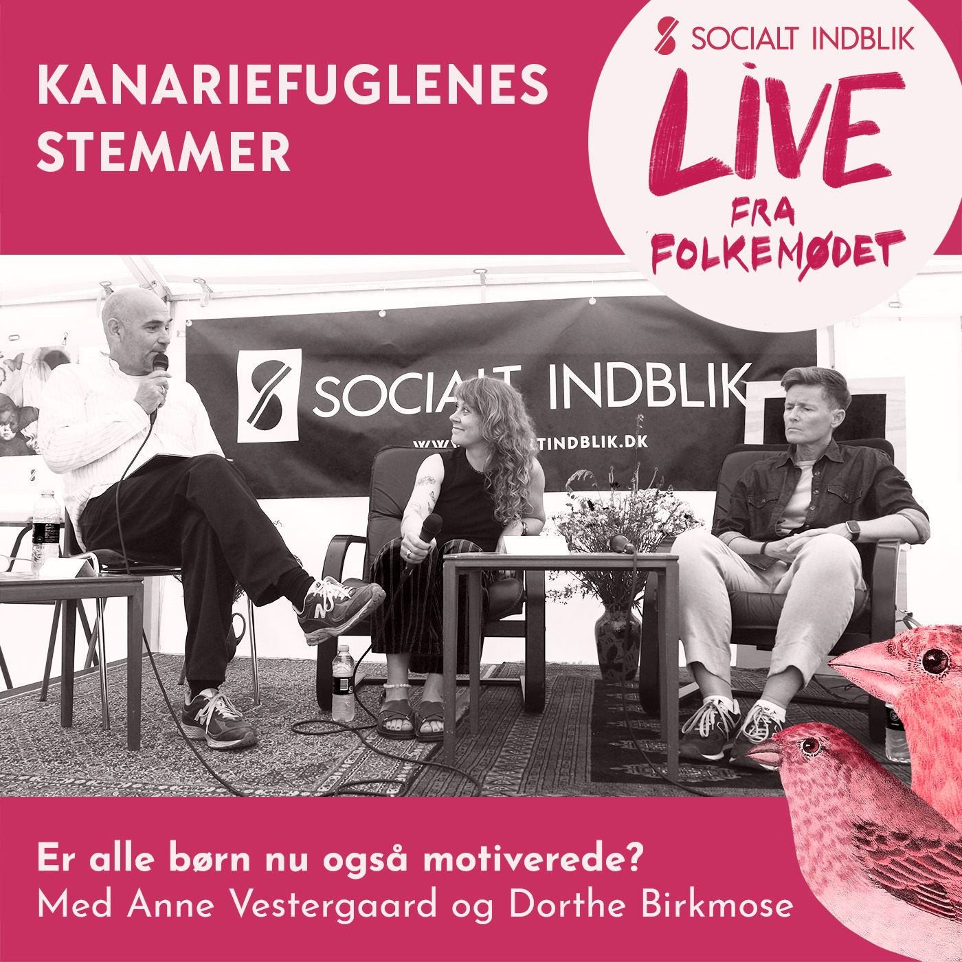 Kanariefuglenes stemmer