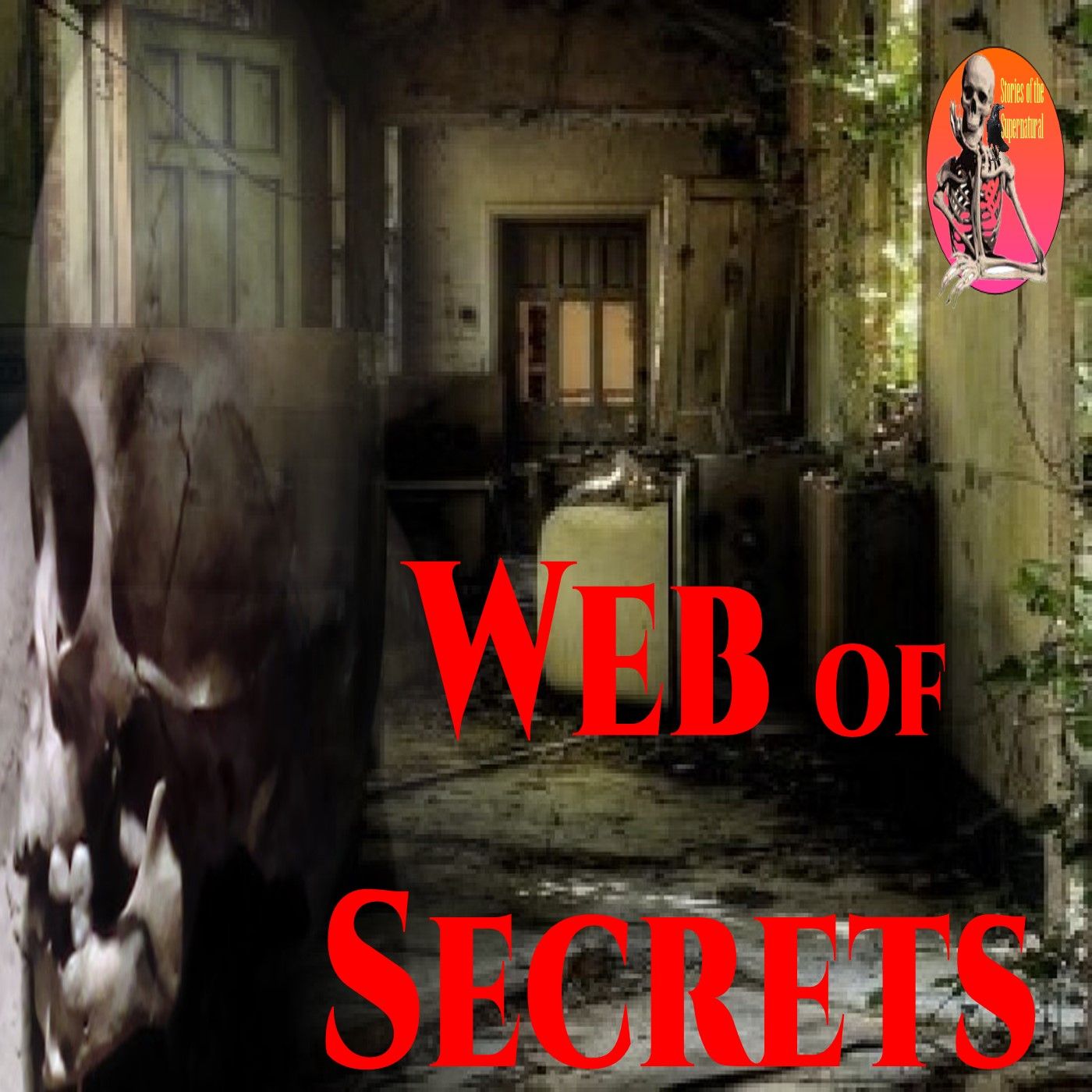 Web of Secrets | Interview with John Vines