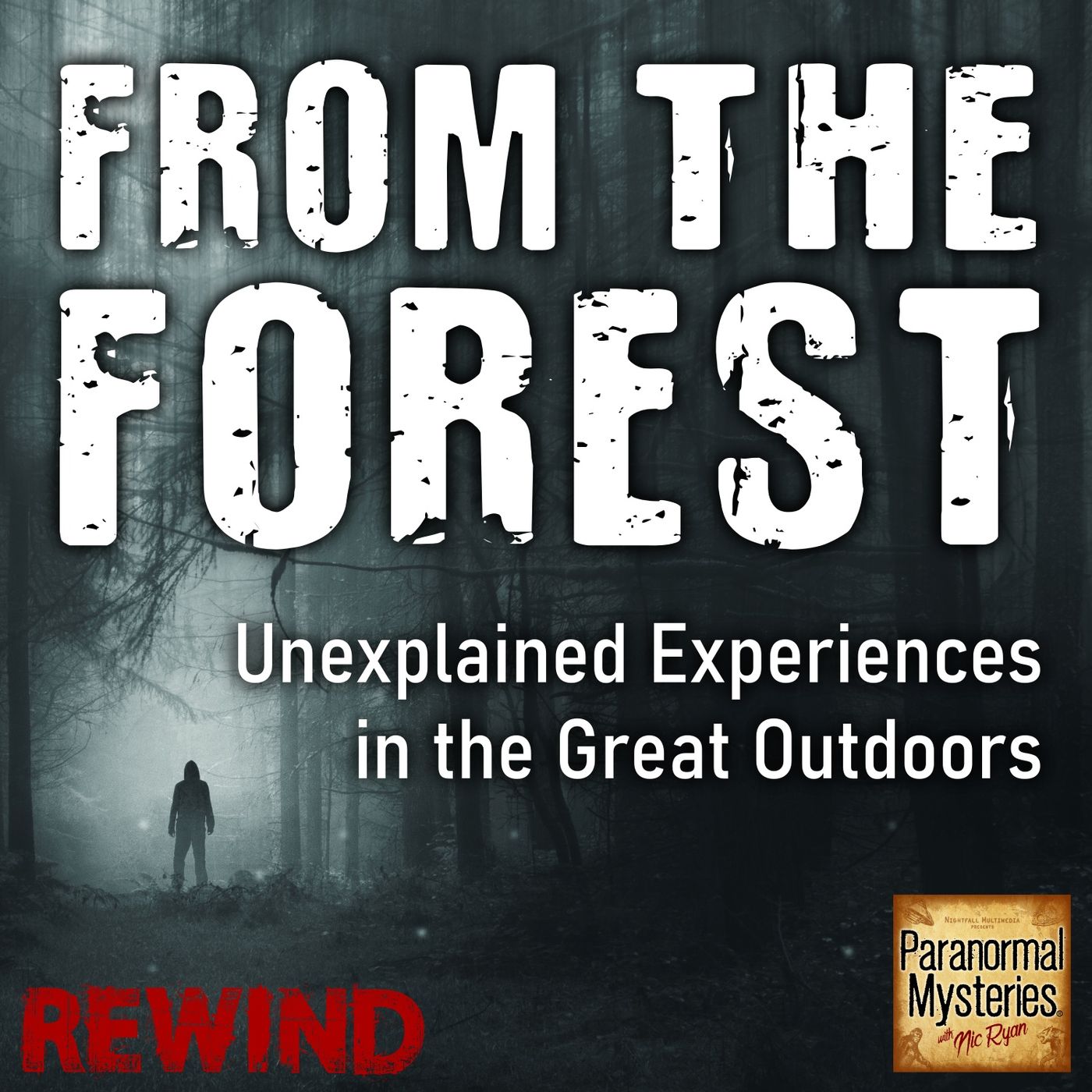 {RW} Hunter Encounters Creature, Entity In Michigan Woods & Native American Curse (ep252)