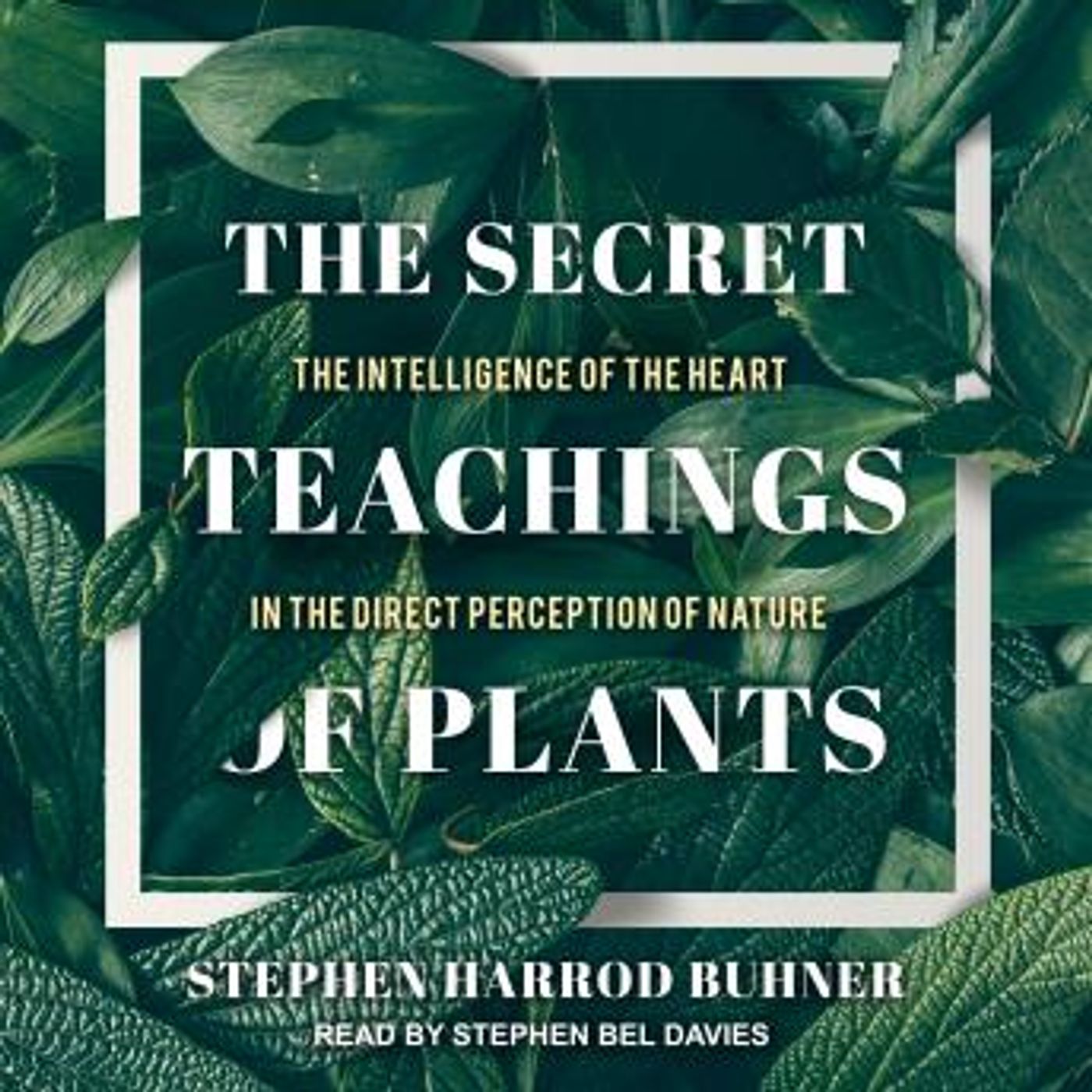 Find Best-Selling Full Audiobooks in Health & Wellness, Fitness, Diet & Nutrition