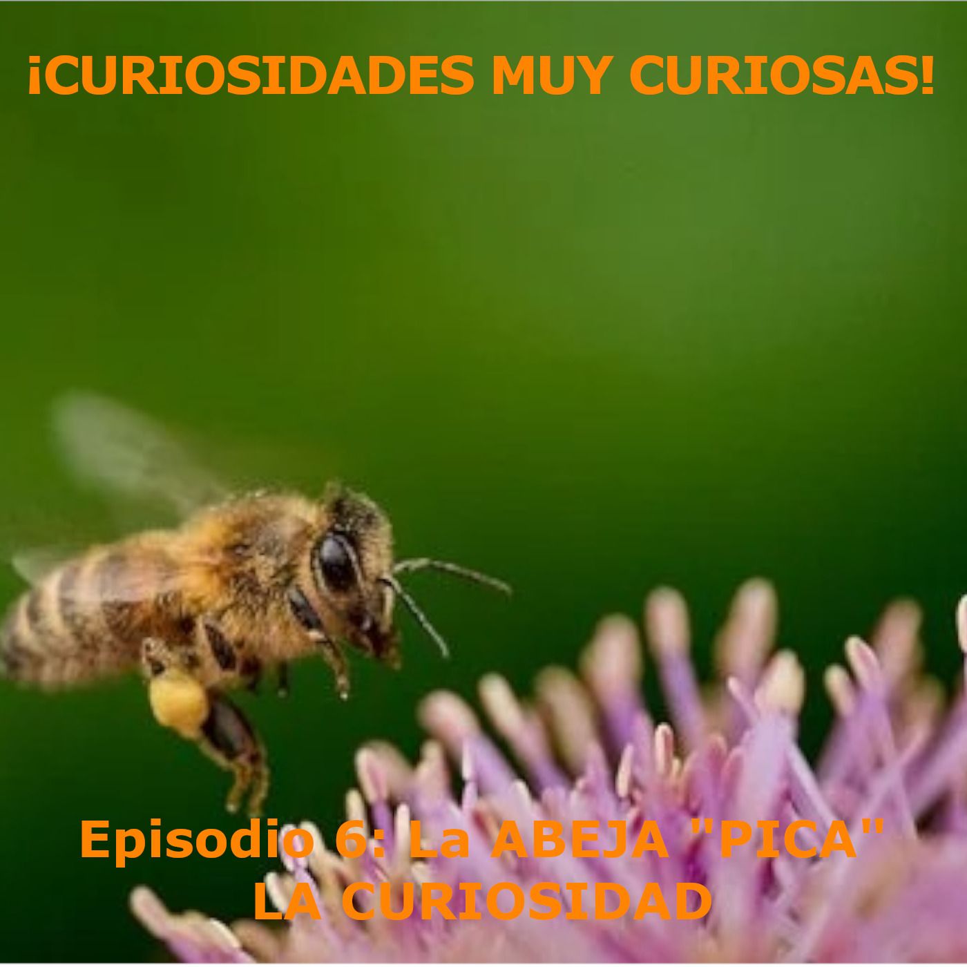 ¡Curiosidades muy curiosas!