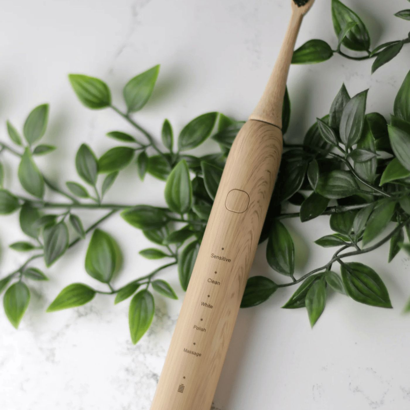 What is a Bamboo Electric Toothbrush? podcast artwork