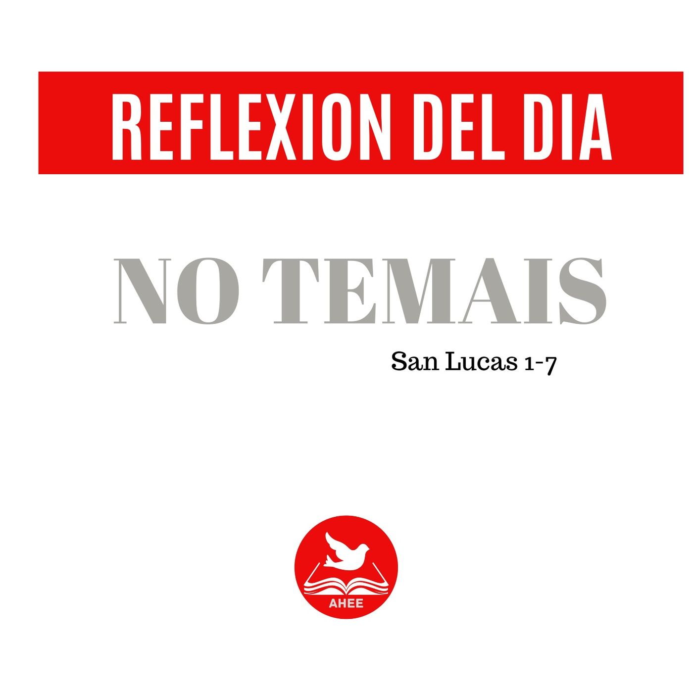 Reflexiones  del día