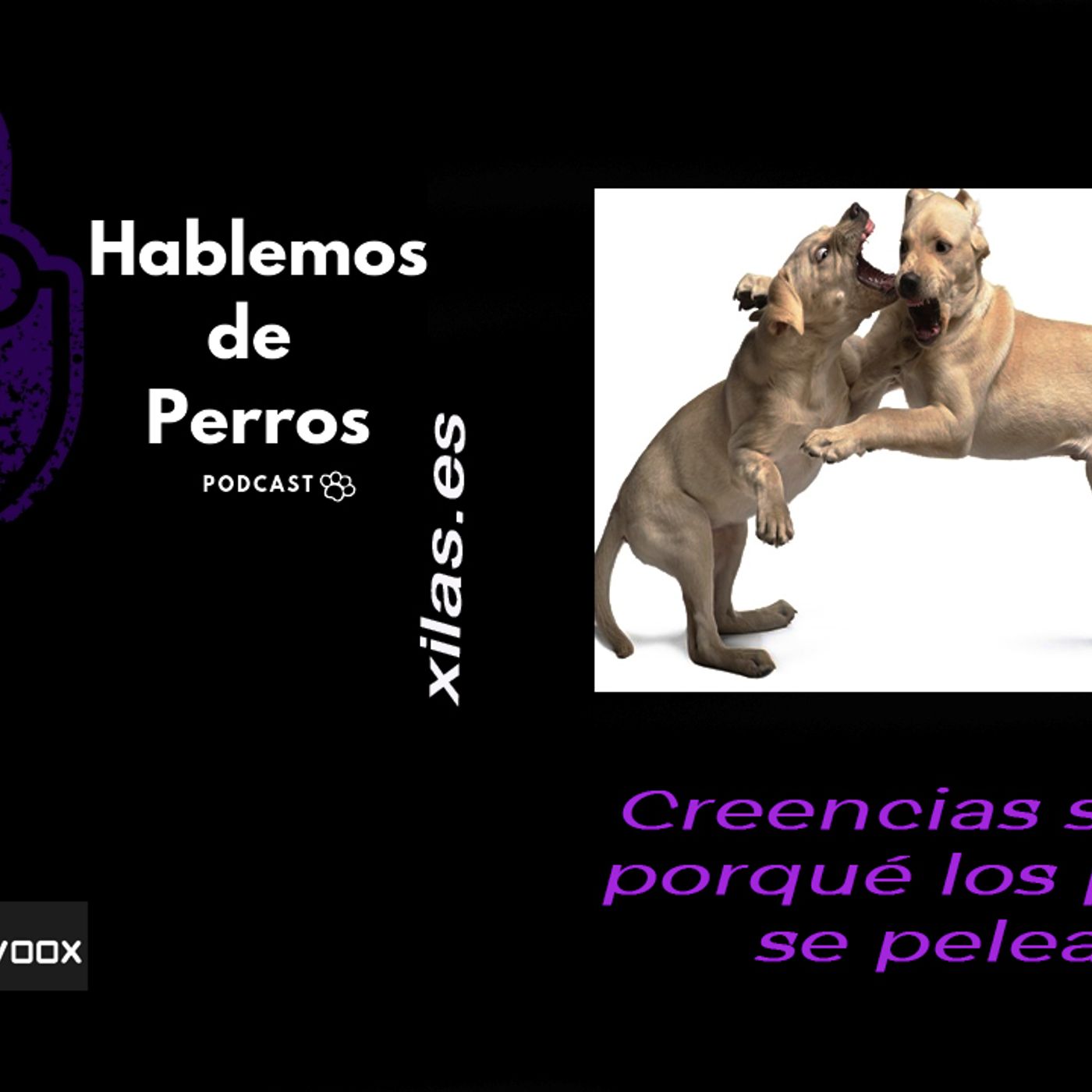 Hablemos de perros