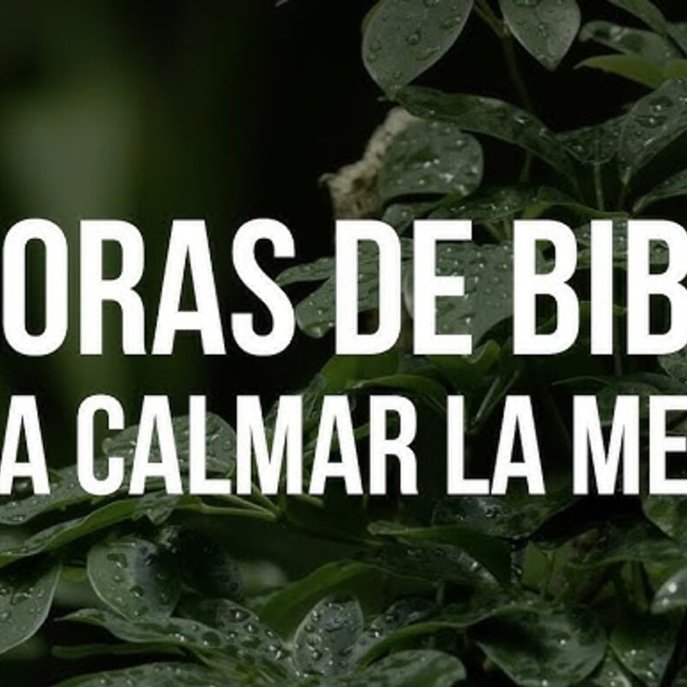 3 Horas de Versículos Bíblicos para Calmar la Mente(M4A_128K)_1