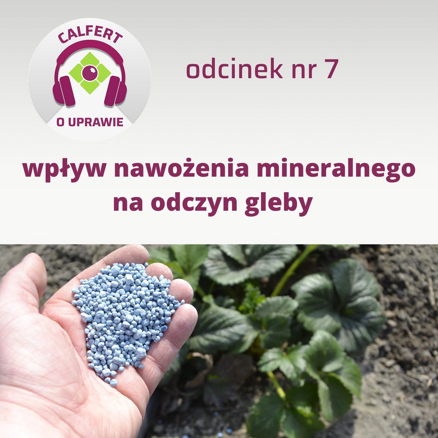 7. Jaki jest wpływ nawożenia mineralnego na odczyn gleby