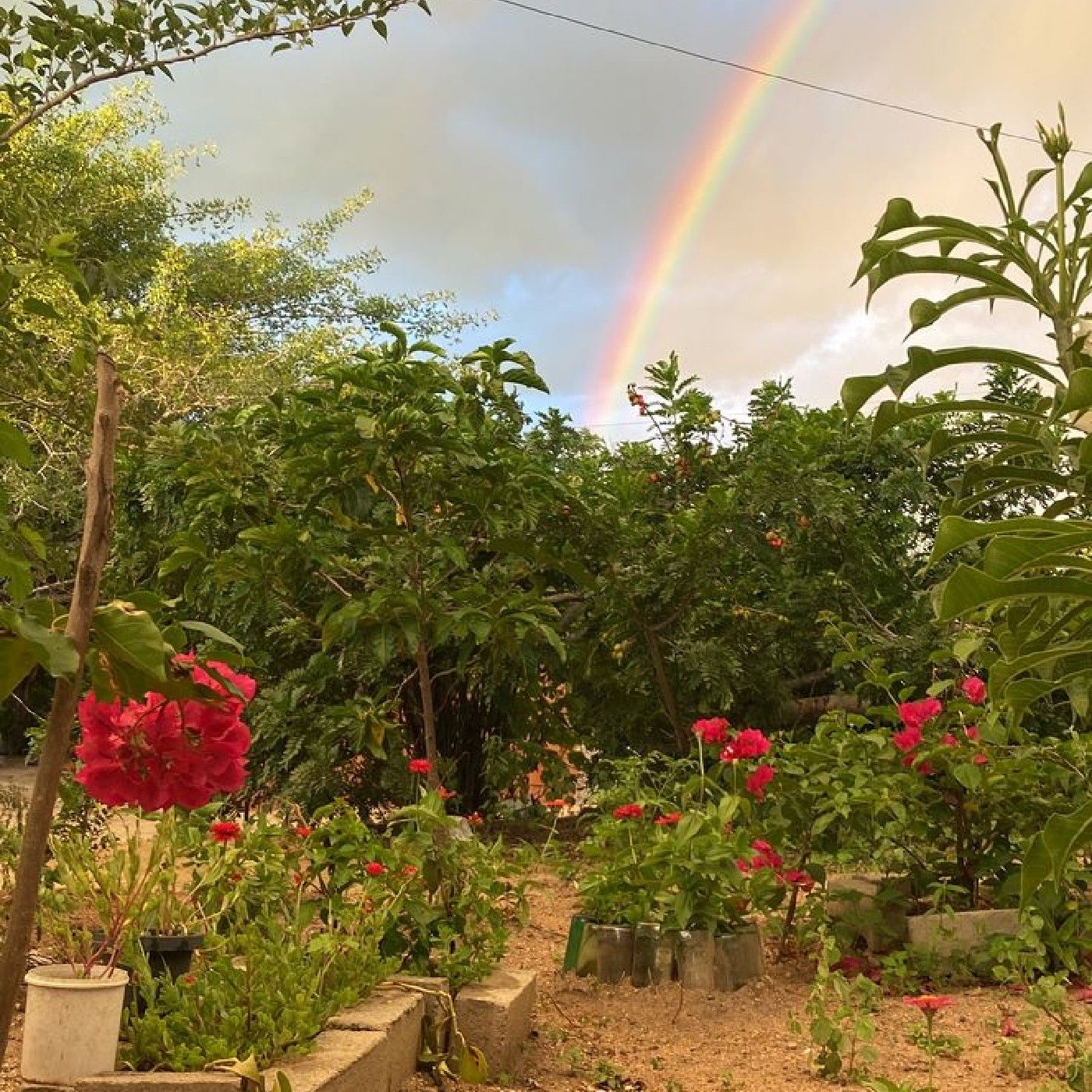 El podcast de Juanita Luna