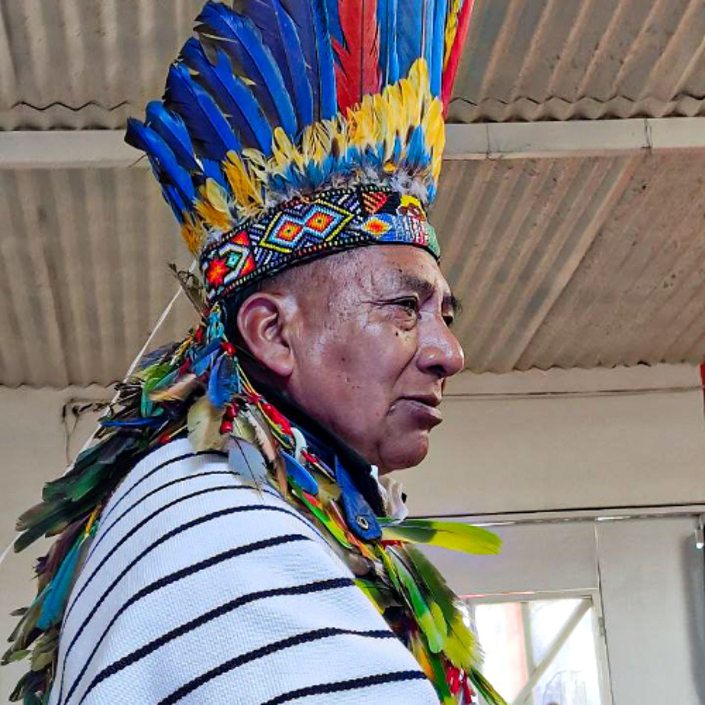 Cantando y sanando ando, cápsula 3: La aldea de Duende Grande