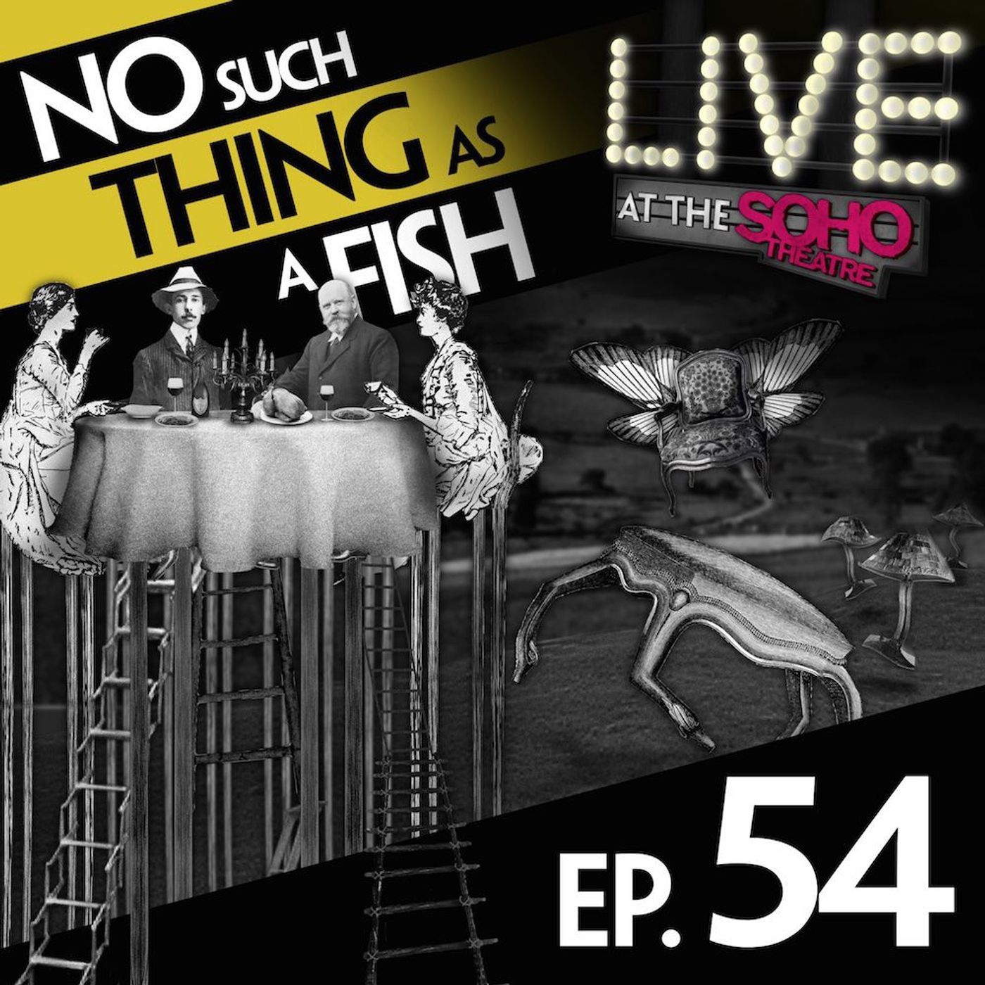 No Such Thing As Domesticated Furniture episode artwork