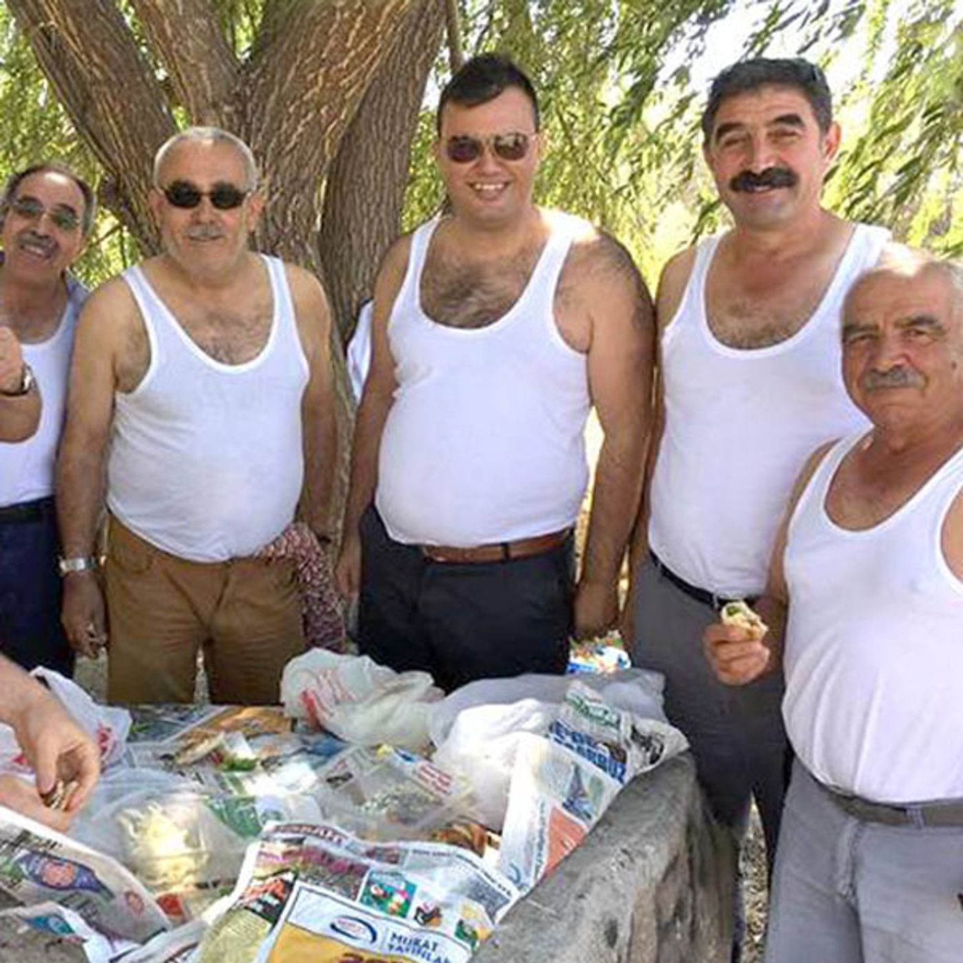 Atlı Karınca
