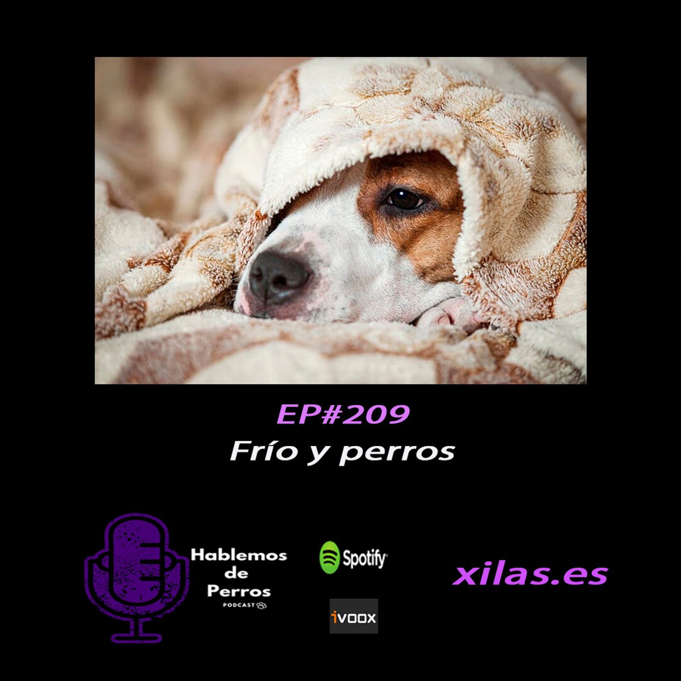 Hablemos de perros