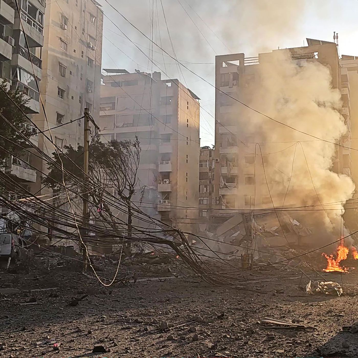 Maria Luisa Fantappiè: Scelte cruciali per i paesi del Golfo