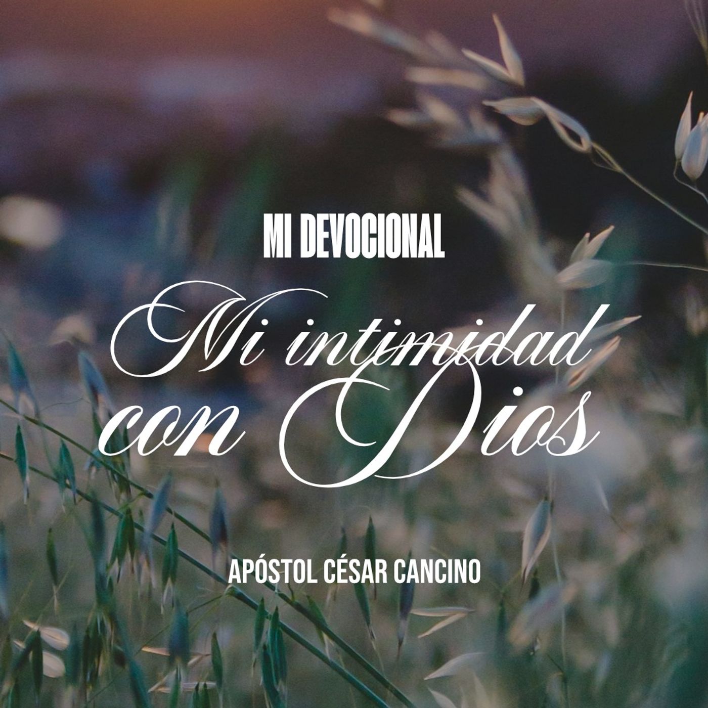 Portada de Ministerio Internacional La Gran Roca Red Global.