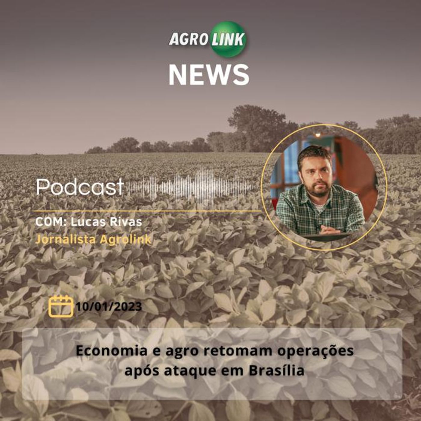 Exportações de carne bovina crescem 42% em receita e 26% em volume em 2022 episode artwork