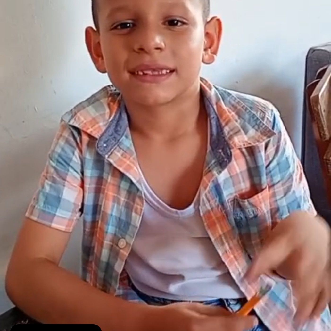Delfín rosado