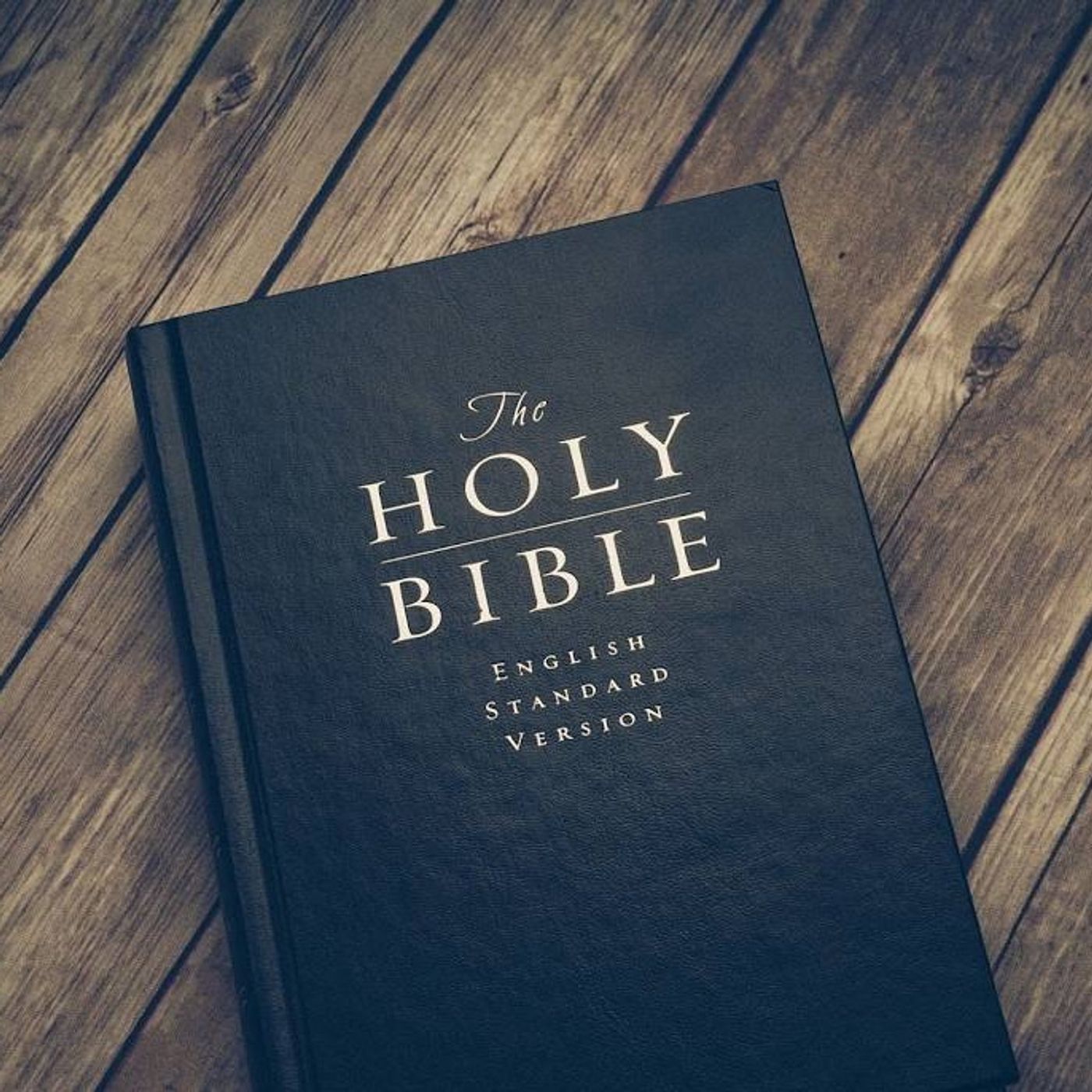 Bible Gum Bible Study Podcast