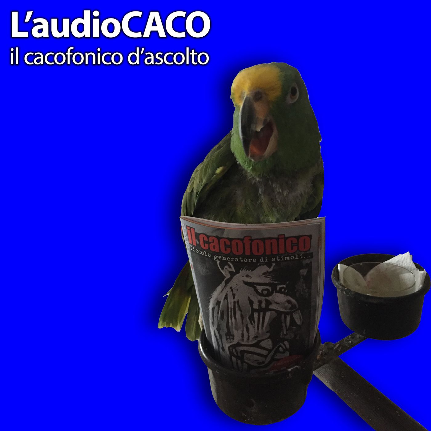 l\'audioCACO