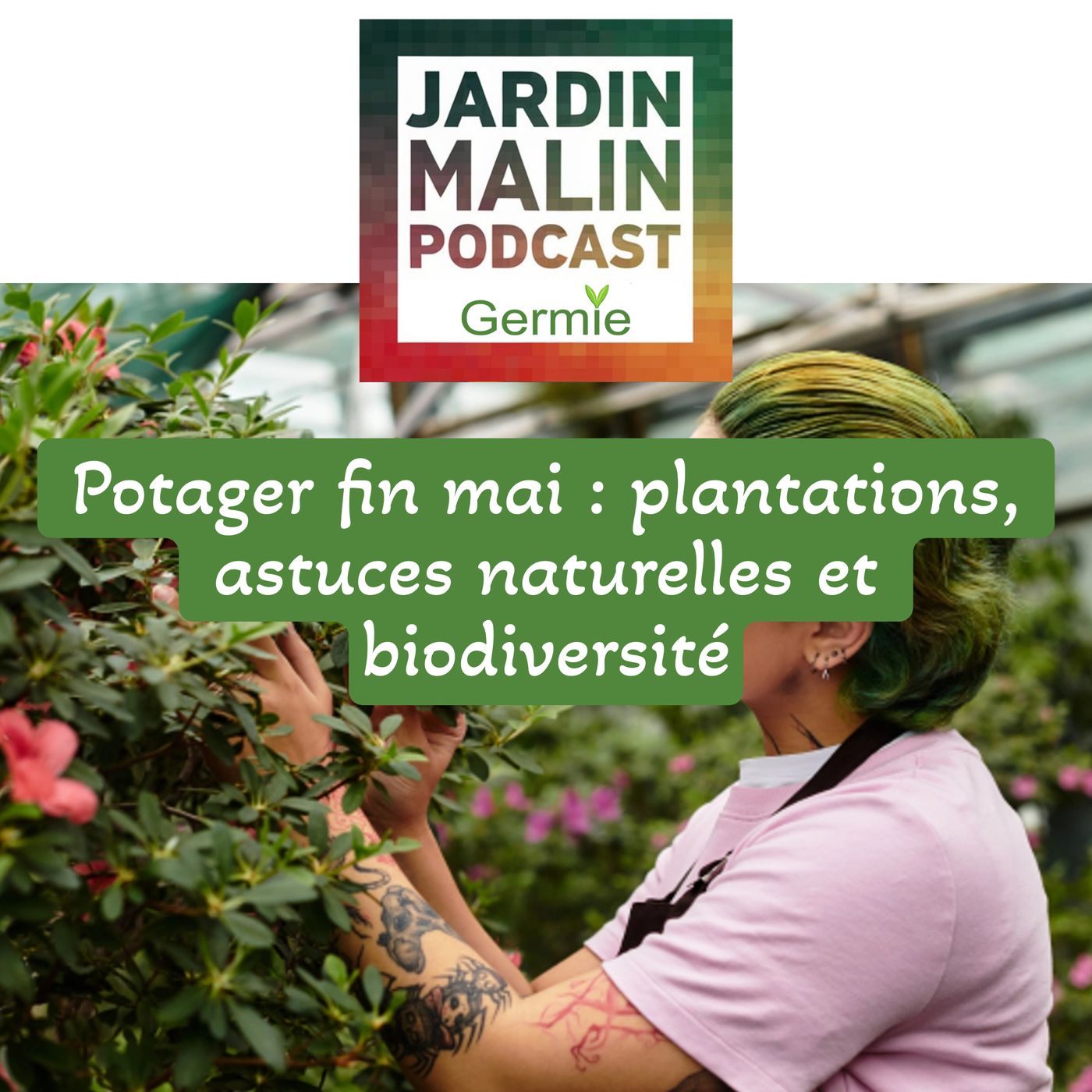 Potager fin mai : plantations, astuces naturelles et biodiversité