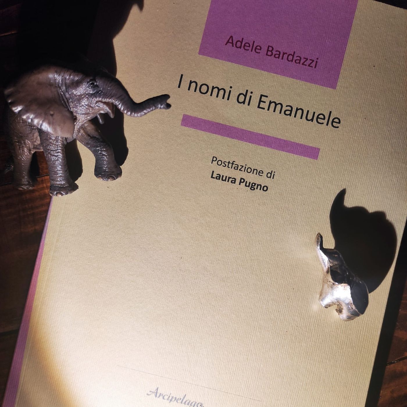 In rime sparse/13 - Su “I nomi di Emanuele” di Adele Bardazzi episode artwork
