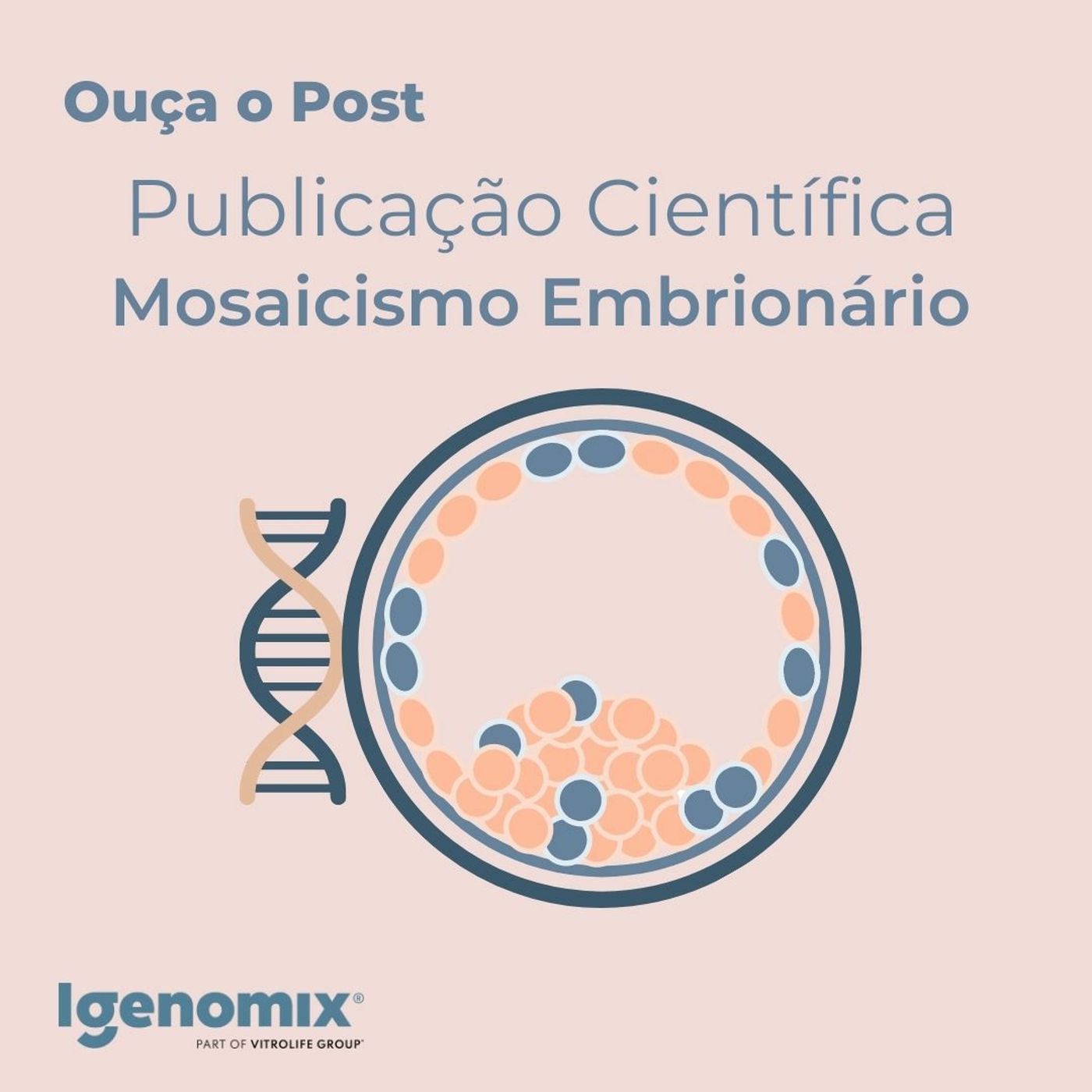 Nós tentantes, Projeto de Vida