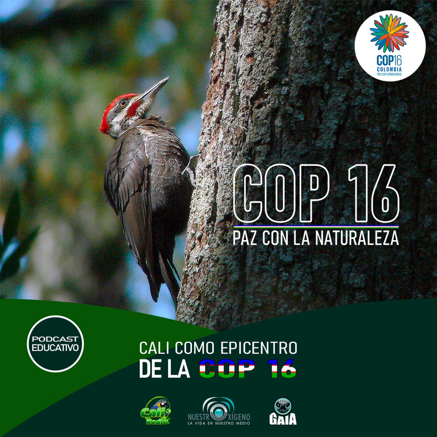 2024 Nuestro Oxigeno 09- Septiembre