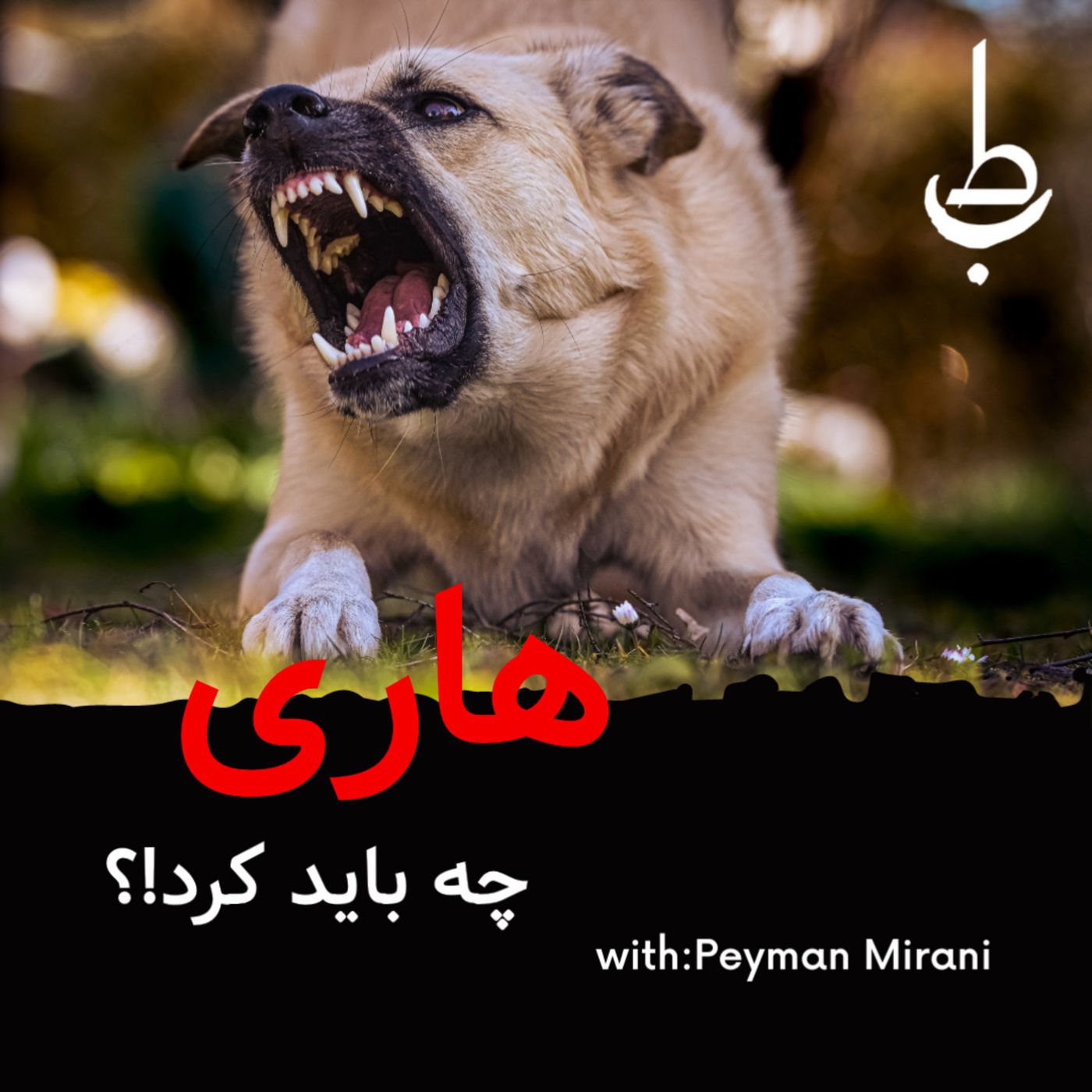 هاری!!چه باید کرد ؟