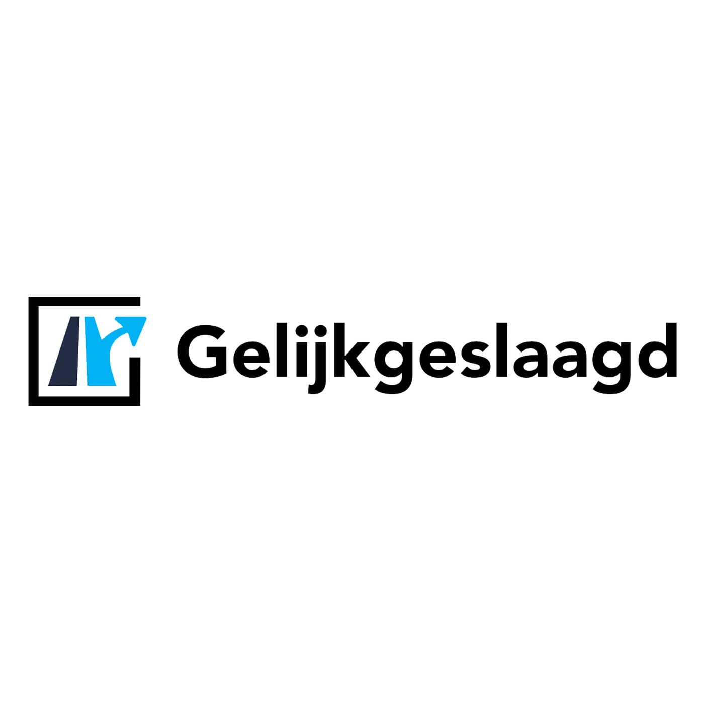 GelijkGeslaagd Theorie Podcast podcast artwork