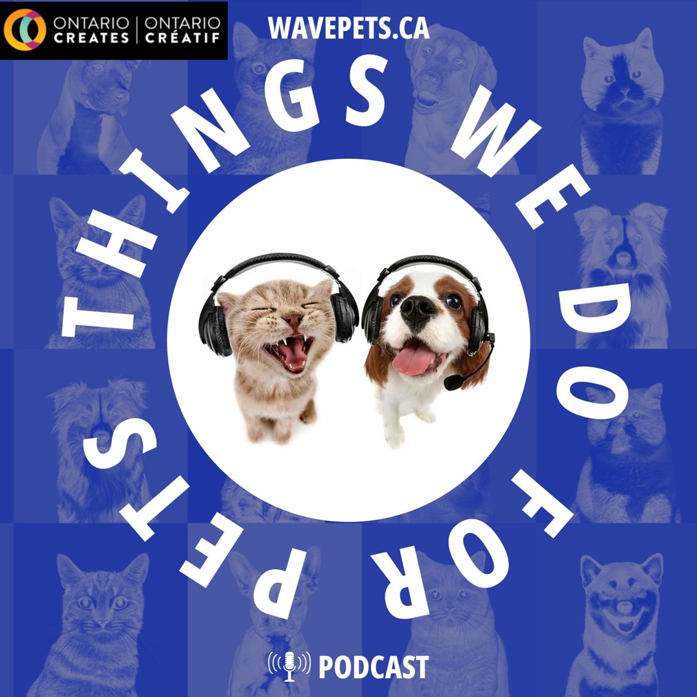 Things We Do For Pets
