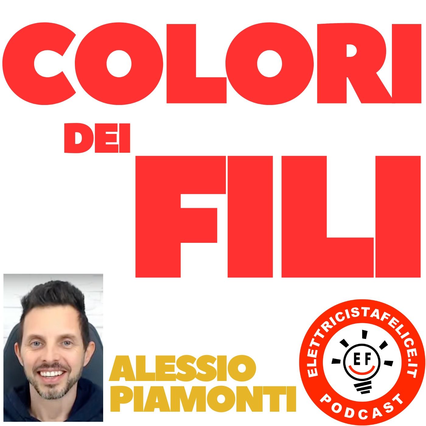 Elettricista felice