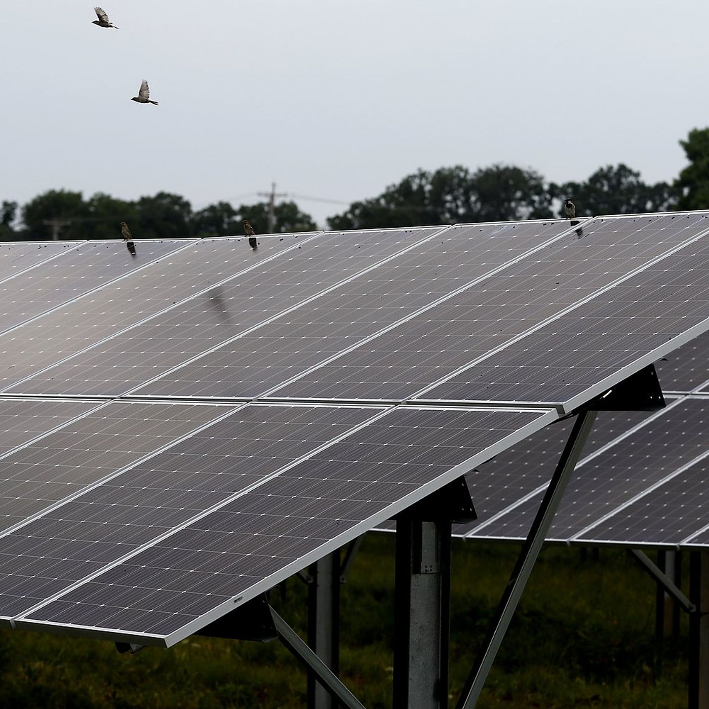 McHenry County Board chairman breaks ties to approve 2 solar farms episode artwork