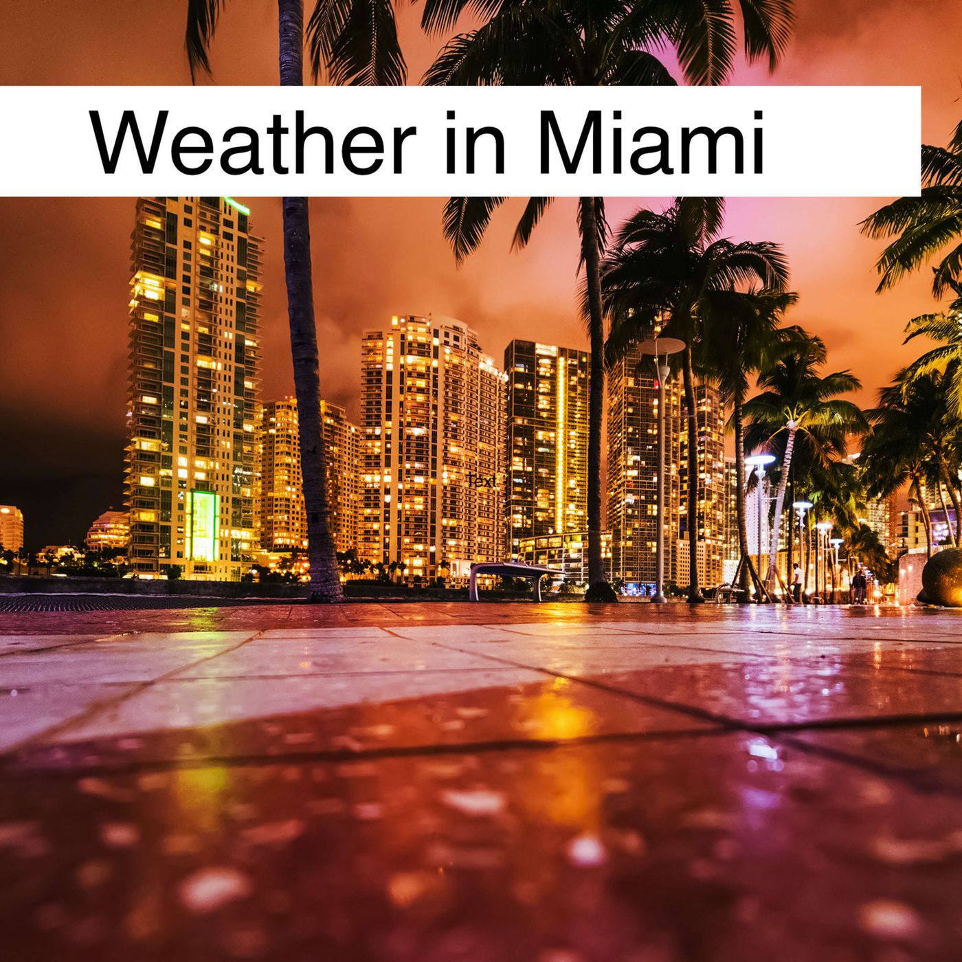 Weather in Miami