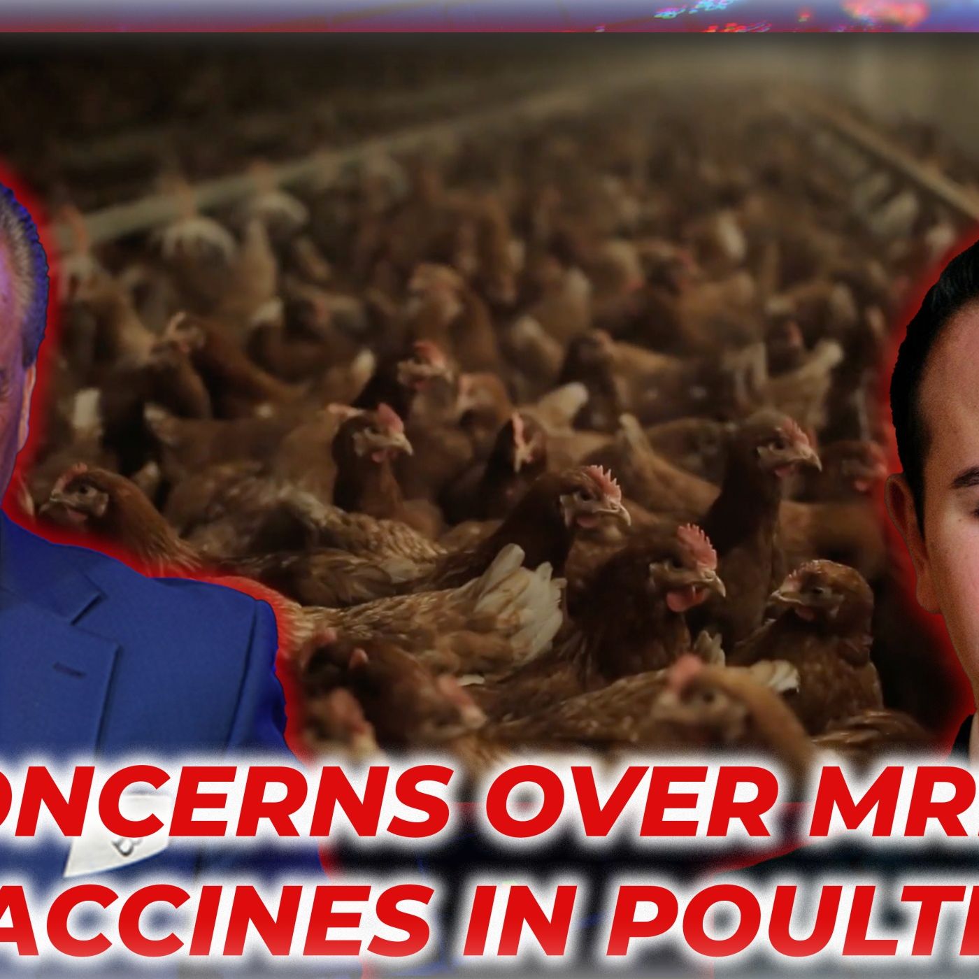 Concerns Over mRNA Vaccines in Poultry and COVID-19 Vaccine Impacts: Interview with Nic Hulscher